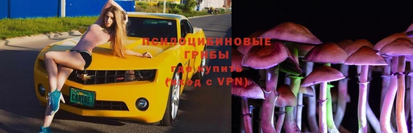 хмурый Абаза