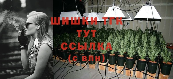 хмурый Абаза