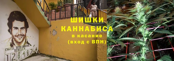 гашик Алзамай
